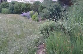 Southampton Village, 2 Fireplaces, Walk to All - Foto 49