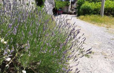 Apartment Zorka - Foto 31