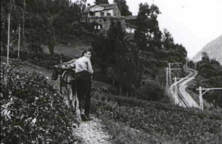 Masia Can Constans - Foto 70