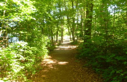 Ferienwohnung Elisabeth - Foto 6