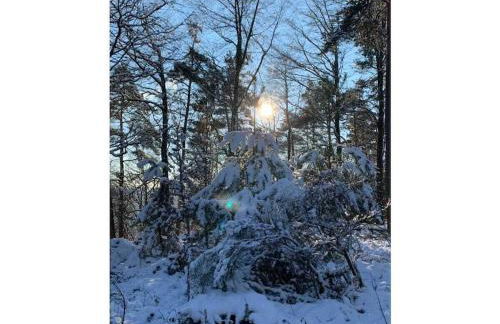 Haus am Kirchberg in Vita Garden - Foto 33