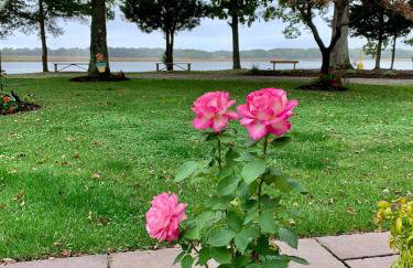 Sai Villa on Maurice River - Foto 26