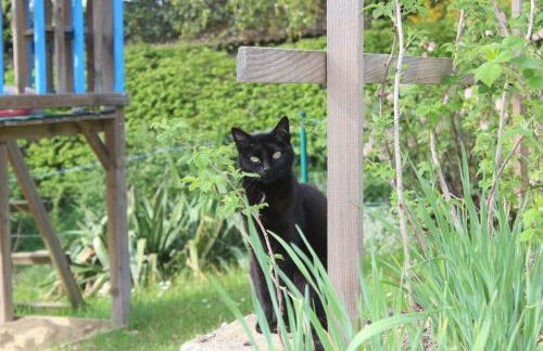 Haus Koblizek - Foto 26