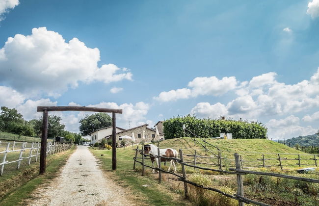 Agriturismo Goccia di Luna - Foto 57