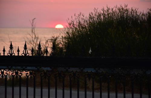 Salt and petals - Foto 55