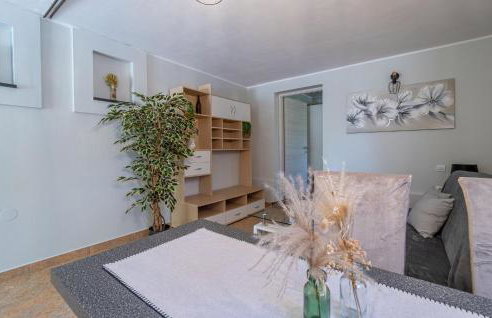 Holiday Home Cerovlje Ii - Photo 23
