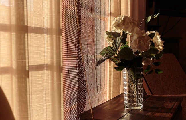 Shepinetree - Capela House - Foto 75