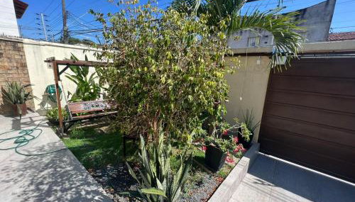 River X House - Foto 5, Garden, Garden view