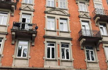 Petit nid sympa a Strasbourg - Foto 11