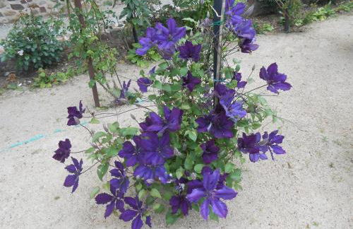 Maison Brix - Foto 32