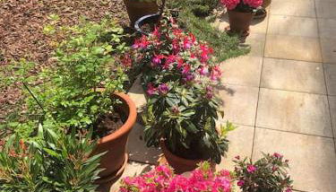 Gartenwohnung in Haidhausen - Foto 4