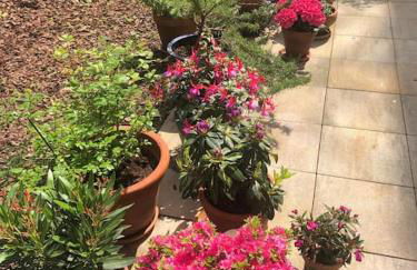 Gartenwohnung in Haidhausen - Foto 4