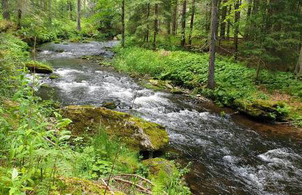 Haus Bergblick - Foto 29