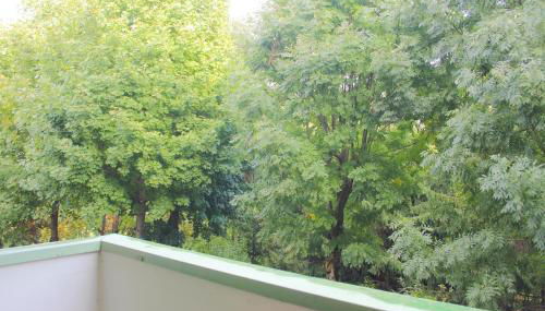 Apartment - ski slopes - Foto 5