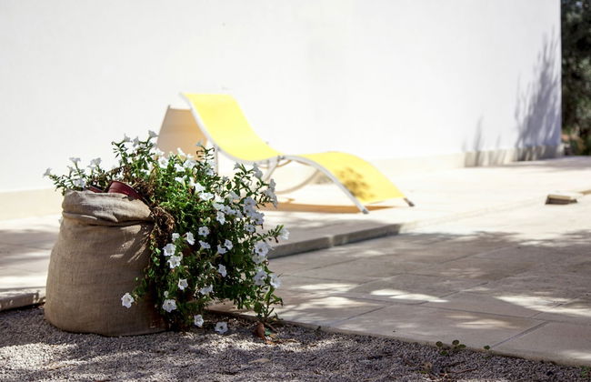 TerreAmare Agriturismo - Photo 48