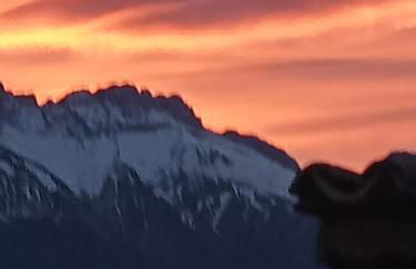 Le clos des anges - Foto 13