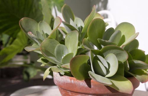 Apartment Bruno - Foto 30