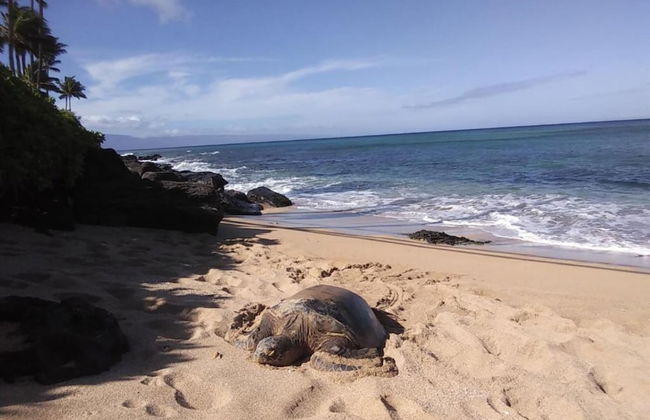 Self Service Camping Gear Bundles - Foto 34