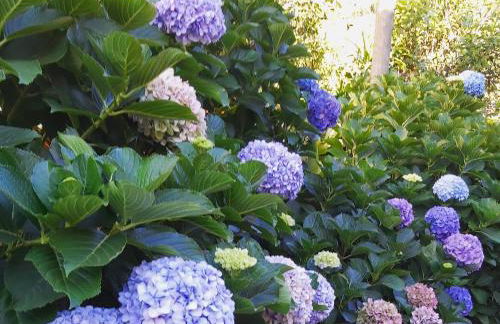 Lameiros Cottage - Foto 47