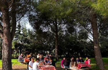 Tenuta Pizzi - Photo 47