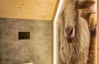 Domki GliczarowSKI z Jacuzzi & Sauna - Photo 66