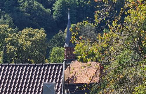 Villa in Adelsheim - Foto 7