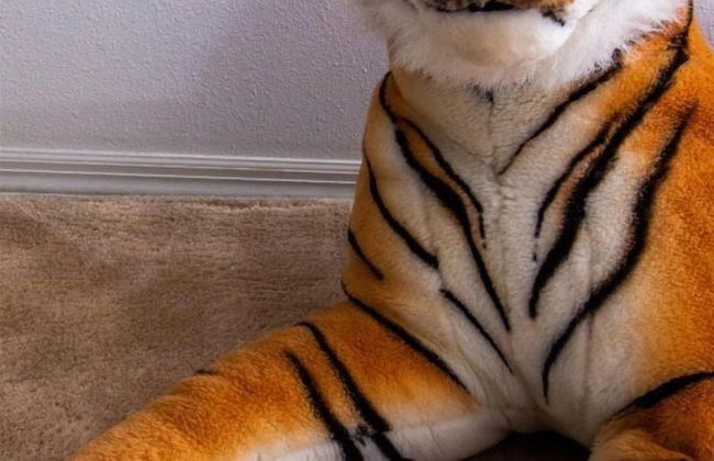 3 Bedroom Home With Private Screened Pool With Rock Waterfall Feature and Gameroom by Florida Dream Homes - Foto 39