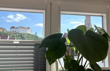 Über den Dächern der Landshuter Altstadt - Foto 11