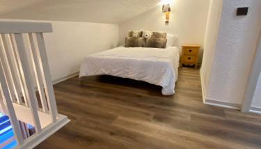 DUPLEX 6P A BELLE-PLAGNE (2050 m), SKIS AUX PIEDS, EN PLEIN CŒURS DE LA STATION RESIDENCE LE BERYL. - Foto 4