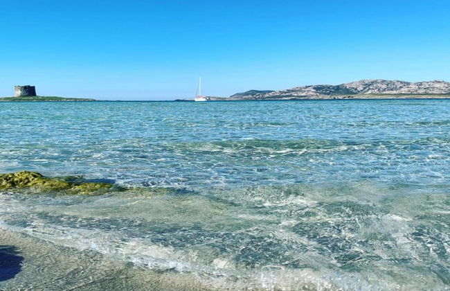 Holiday Home in Stintino Near Sea Beach - Photo 30