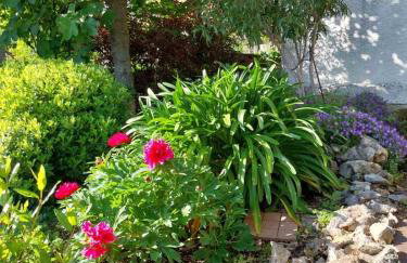 Golden Oasis - Foto 28