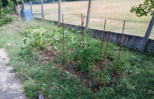 Joli studio au calme - Foto 10