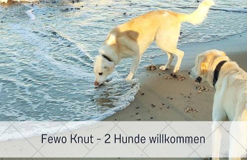 BUDDE4 Fewo Knut - Early Check-in, Haustier, extralange Betten - Foto 24