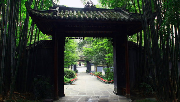 Full Day Panda Hometown and Taoist Mountain - Private - Photo 3