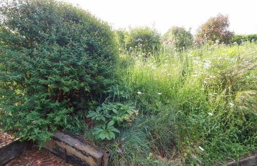 Trenant View - Foto 37