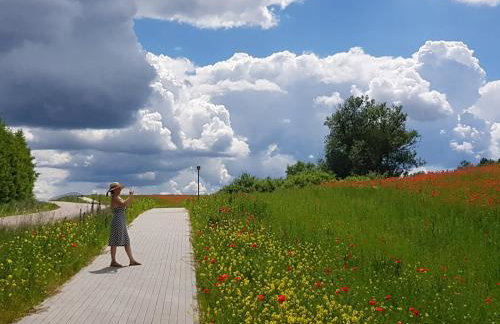 Kamienny Ogród Holiday Park - Foto 89