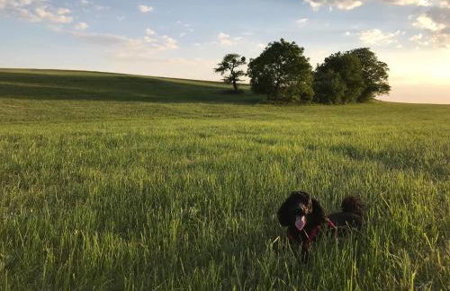 Ferienhaus Hassgautor - Foto 52