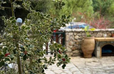 Horizon Nest Parnassos Villa Chalet! - Foto 45