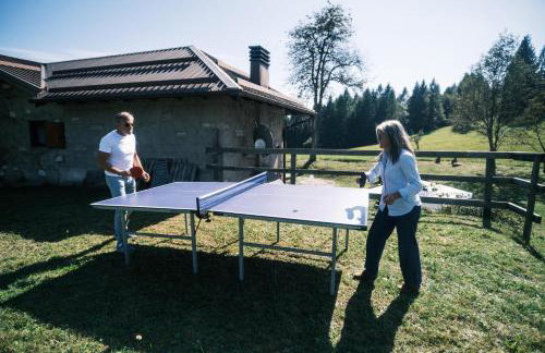 Chalet Maso Pino - Foto 21