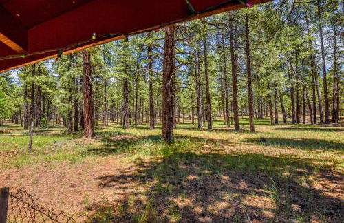 Rogers Cabin Historic Log Cabin in the Woods Near Grand Canyon Flagstaff - Foto 20