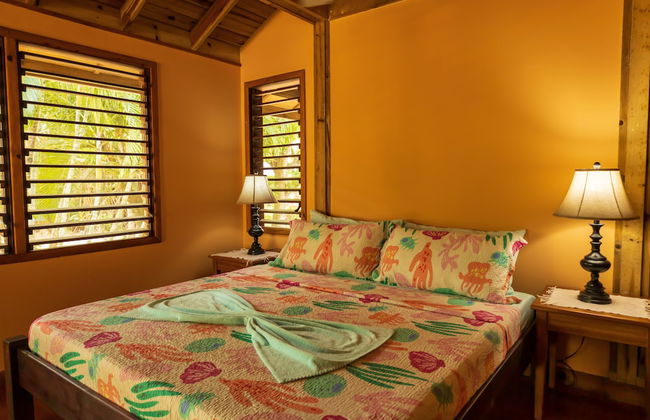 Tropical Breeze - Foto 18