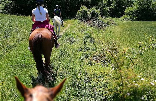 Farmhouse With Stables, Horses and the Ability to Make Horseback Riding - Foto 72
