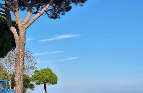 Iris Apartment-trilocale vistamare, 50 m dalla spiaggia - Foto 7