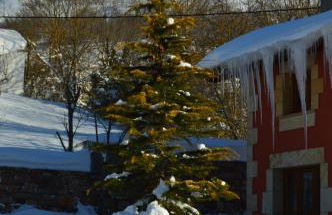 CASUCAS LA GUARIZA (Casa Eva ) - Foto 15
