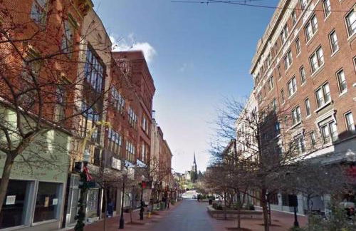 Relaxing Rustic Oasis, Unit A - 6 minute walk to Downtown! Pet-friendly & Cyclists Welcome! - Foto 12