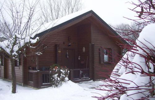 Komfortables-Ferienblockhaus-Nr-27-56-qm-bis-4-Personen-Viechtach-Jaegerpark - Foto 11