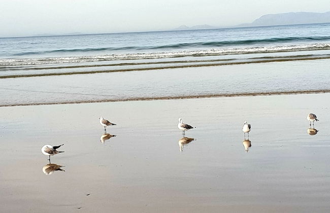 Silver lining beach apartment - Foto 34