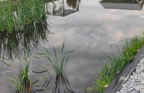 Ośrodek Wypoczynkowy Lawendowo - Foto 31