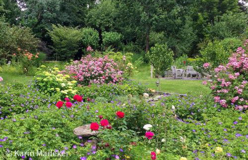 Design Ferienwohnung mit Bauerngarten - Foto 7