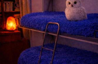 Il Castello di Darany - Photo 10